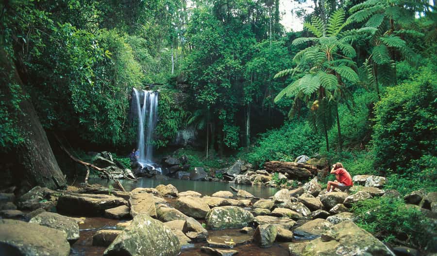 Brisbane: Hop on Hop off Bus to Tamborine Mountain - Price and value: what $70 really buys