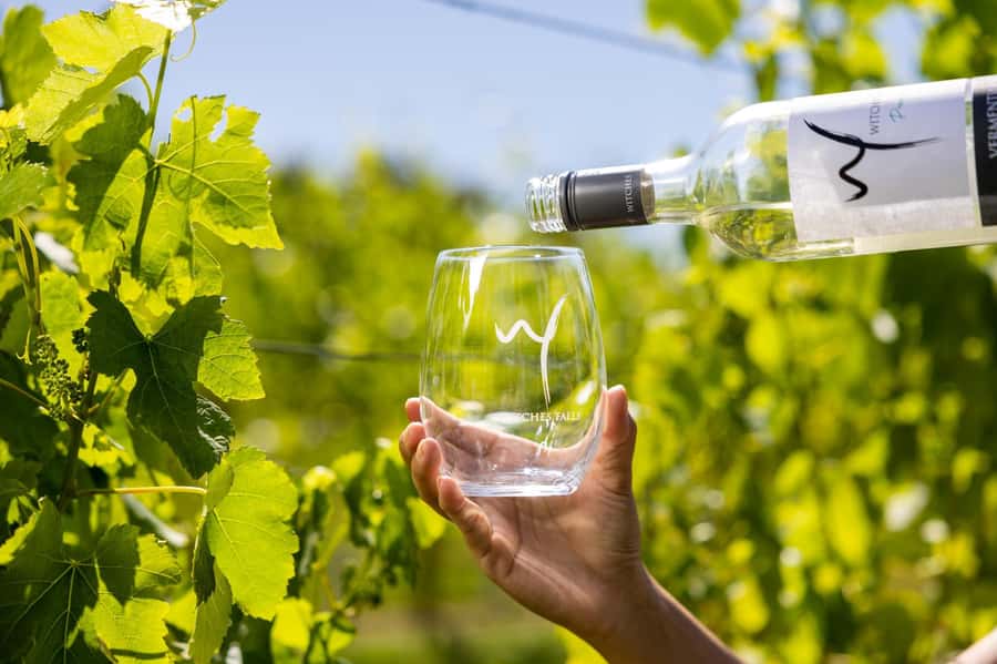 Brisbane: Wine Tasting - Hop on Hop off Tour to Mt Tamborine - Weather and pacing: why your day might feel different