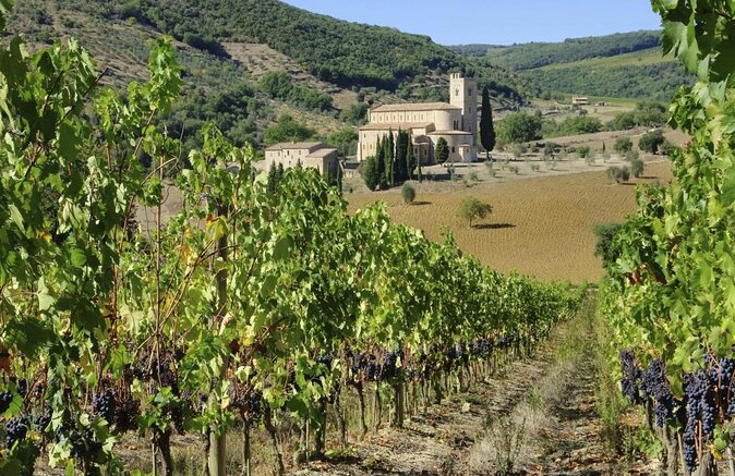 Brunello Vineyards Bus Tour - Key highlights to know before you go