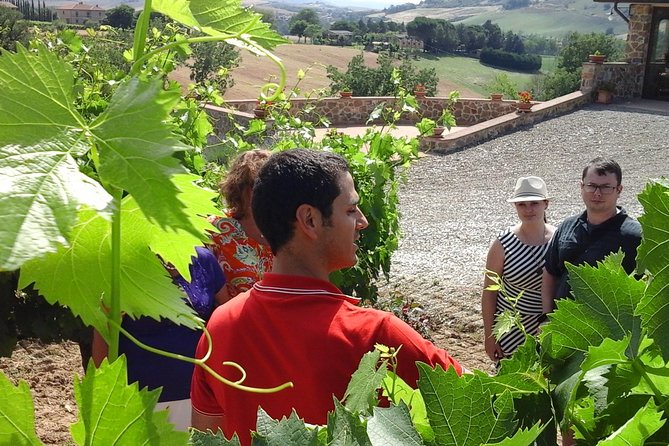 Brunello Vineyards Bus Tour - English guide, but also a human touch
