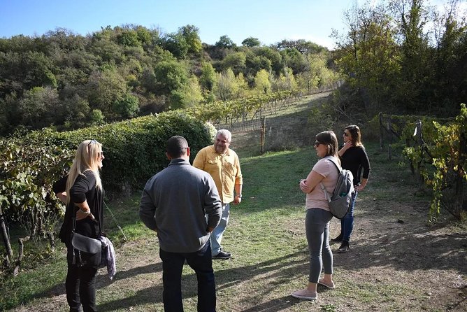 Brunello Vineyards Bus Tour - Who should book this Brunello vineyards bus tour
