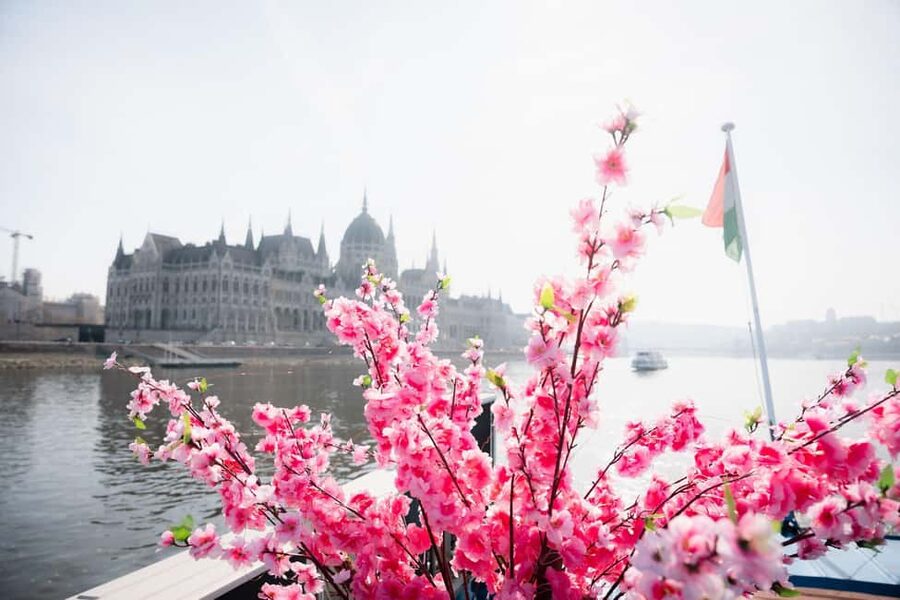 Budapest: Daytime Hop-on Hop-off Cruise with Welcome Drink - Price and Value: Why $15 Can Be a Good Deal in Budapest