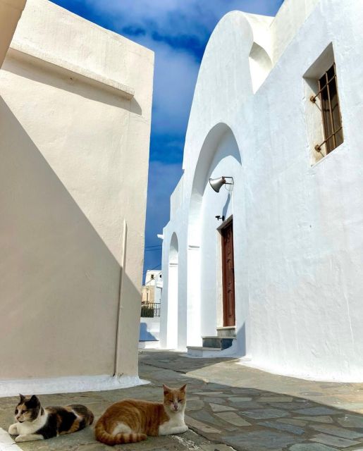 Bus Tour Around the island of Naxos - Key highlights I’d plan around