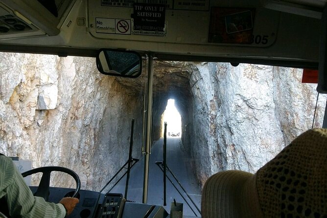 Bus Tour of Mount Rushmore and the Black Hills - Crazy Horse Memorial: the carving in progress and why your hour matters