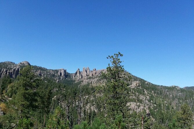 Bus Tour of Mount Rushmore and the Black Hills - The full-day pacing: what 9 hours feels like on a bus