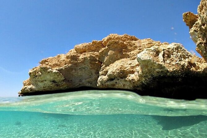 Bus Tour to Ras Mohamed from Sharm El Sheikh - Coral and fish: the park’s reef-and-fish checklist