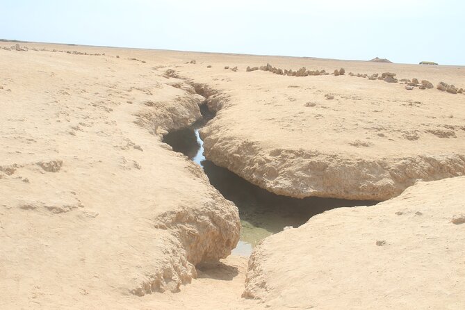Bus Tour to Ras Mohamed from Sharm El Sheikh - Mangroves, the 1968 earthquake crack, and Gulf snorkeling