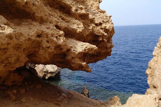 Bus Tour to Ras Mohamed from Sharm El Sheikh - Should you book this bus tour to Ras Mohamed?