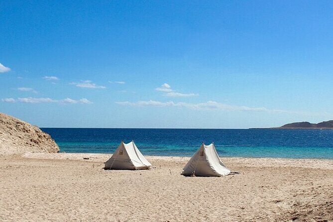 Bus Tour to Ras Mohamed from Sharm El Sheikh - Ras Mohammed National Park: why bus beats a boat day