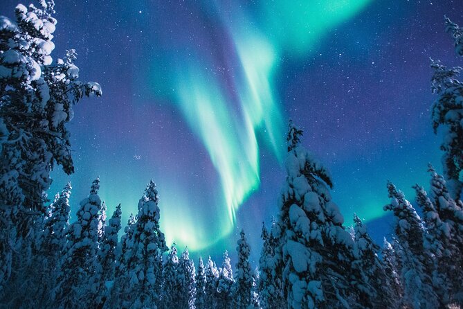 Bus Tour with Hunting Northern Lights - Rovaniemi Night Logistics: Meeting Point, Start Time, and Cold Reality