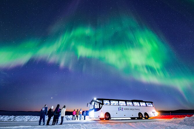 Bus Tour with Hunting Northern Lights - The Bus Ride Experience: English Guide, Warm Drink, and How You’re Kept Busy