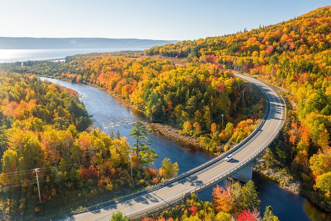 Cabot Trail Bus Tour for Cruise Excursion - Who Should Book This Cabot Trail Cruise Excursion (and Who Might Not)