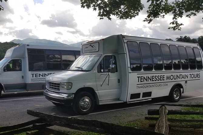 Cades Cove Sightseeing Bus Tour from Pigeon Forge - Cades Cove loop: wildlife spotting that rewards patience