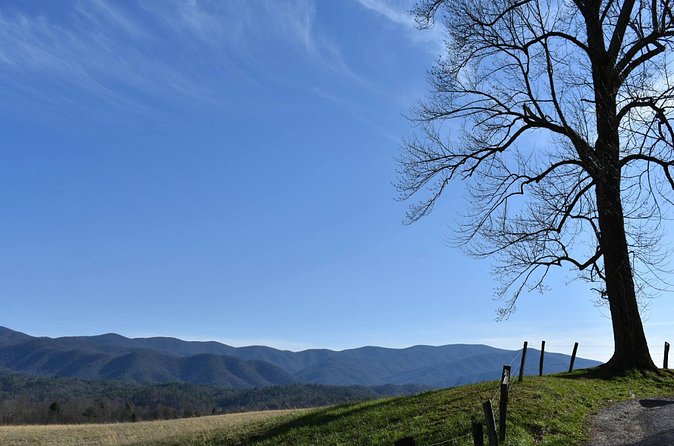 Cades Cove Sightseeing Bus Tour from Pigeon Forge - Breaks and restroom stops: small logistics, big sanity