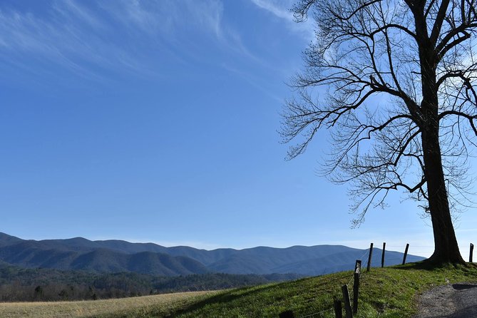 Cades Cove Sightseeing Bus Tour from Pigeon Forge - Guides and group size: what you gain with a max-20 bus