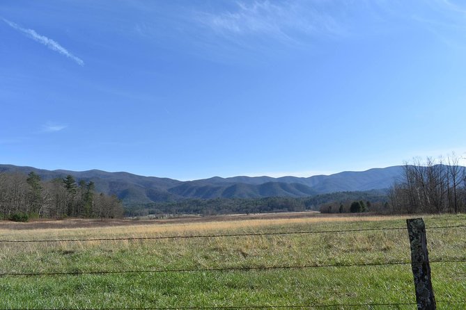 Cades Cove Sightseeing Bus Tour from Pigeon Forge - Meeting point and timing: plan your morning like a local