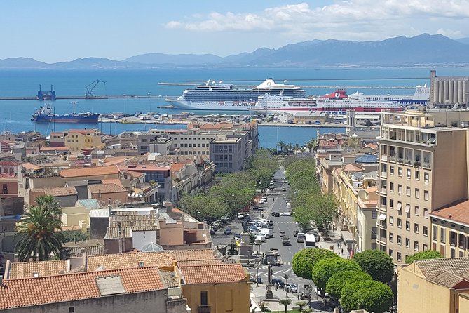 Cagliari Private Shore Excursion: Hop-on Hop-off City Experience - Quick Hits Before You Go