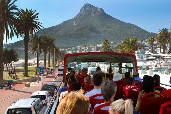 Cape Town Hop-On Hop-Off City Tour with Optional Cruise - Hout Bay Leg: Harbor Area Energy and Wildlife Stops