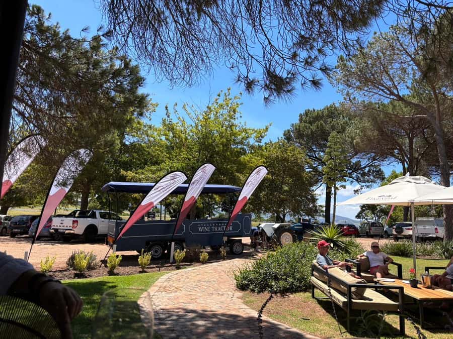 Cape Town: Stellenbosch Hop-On Hop-Off Tractor Transfer - Key takeaways before you ride the Stellenbosch wine tractor