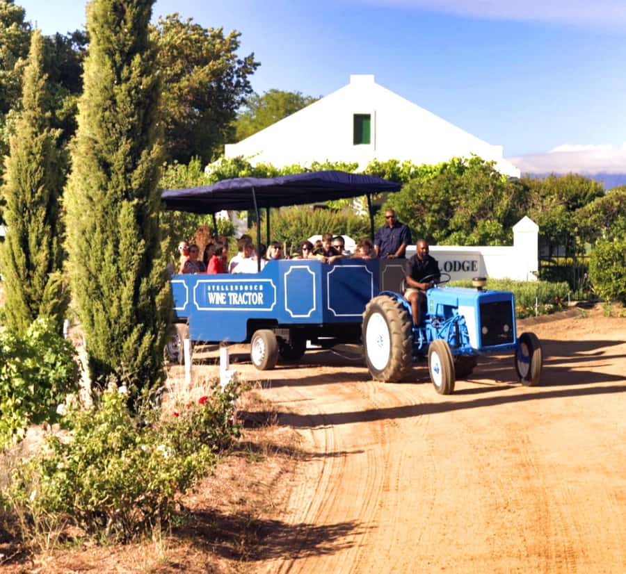Cape Town: Stellenbosch Hop-On Hop-Off Tractor Transfer - How the hop-on hop-off system fits a strict farm timetable