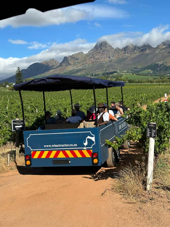 Cape Town: Stellenbosch Hop-On Hop-Off Tractor Transfer - Value and costs: what the $24 ticket really covers