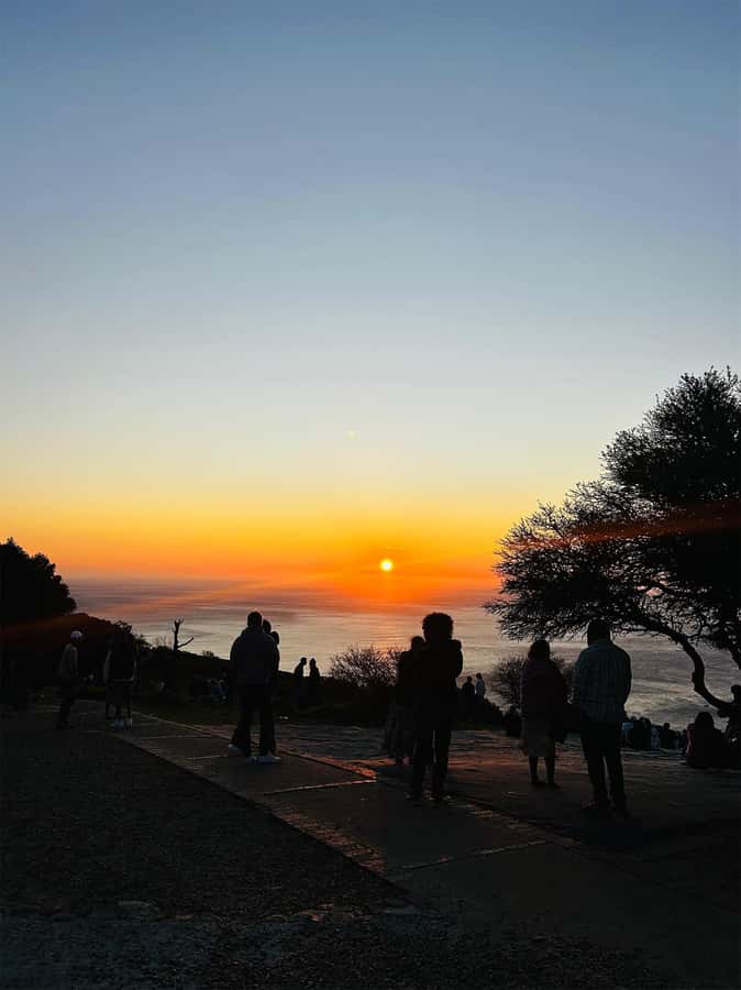 Cape Town: Sunset Bus Tour with Picnic on Signal Hill - Who should book this sunset Signal Hill tour
