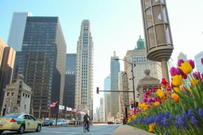 Chicago Crime and Mob Bus Tour - The Guide Is the Product: Storytelling Names You May Hear
