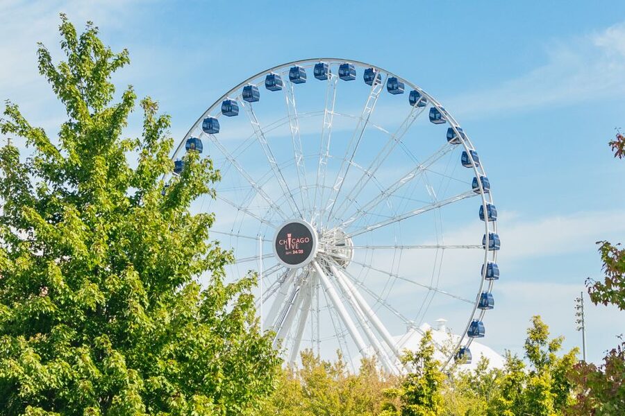 Chicago: Hop-on Hop-off Sightseeing Tour by Open-top Bus - Who Should Book This Bus Tour (and Who Should Skip It)