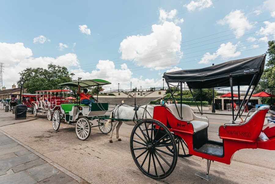 City Sightseeing New Orleans HOHO Bus Tour & Bookable Extras - Casino, Museums, and Cultural Stops: Picking Your Own Detour