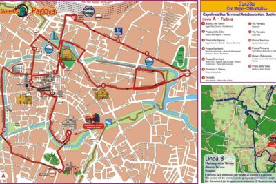 City Sightseeing Padua Hop-On Hop-Off Bus Tour - Who Should Ride This Bus (and Who Might Not)