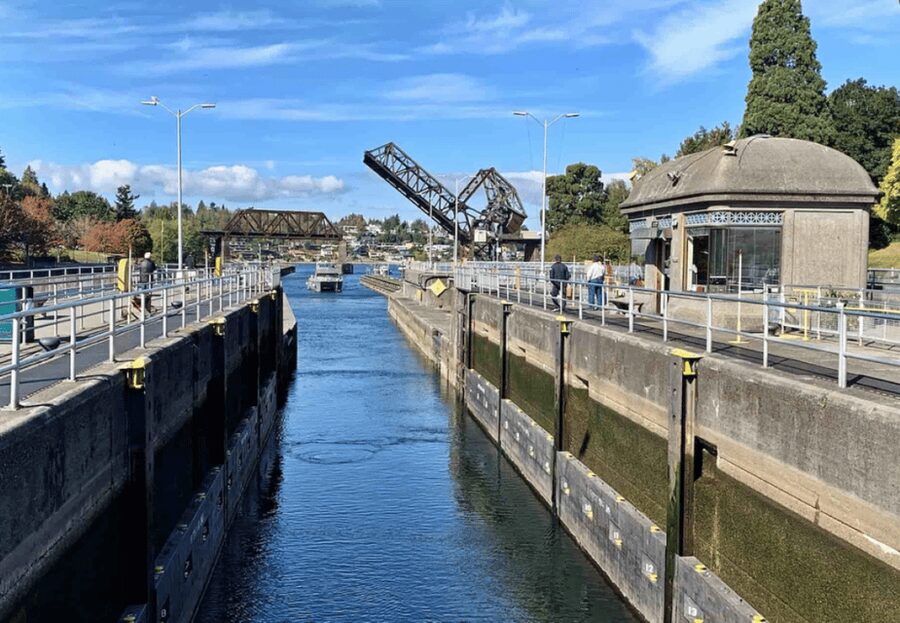 City Sightseeing Seattle: HOHO Bus Tour + Locks Cruise - The Seattle art and library stops that make downtown feel livable