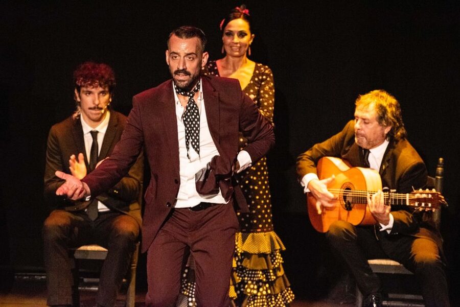 Combo: Hop on hop off + Flamenco Show & Walking tours - A 1-day combo in Seville: bus, two walks, and flamenco
