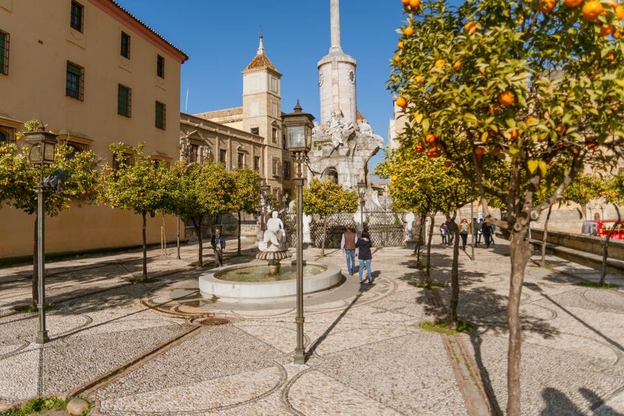 Córdoba: City Sightseeing Hop-On Hop-Off Bus Tour - The Mezquita–Catedral and Alcázar Area: Where Your Day Can Peak