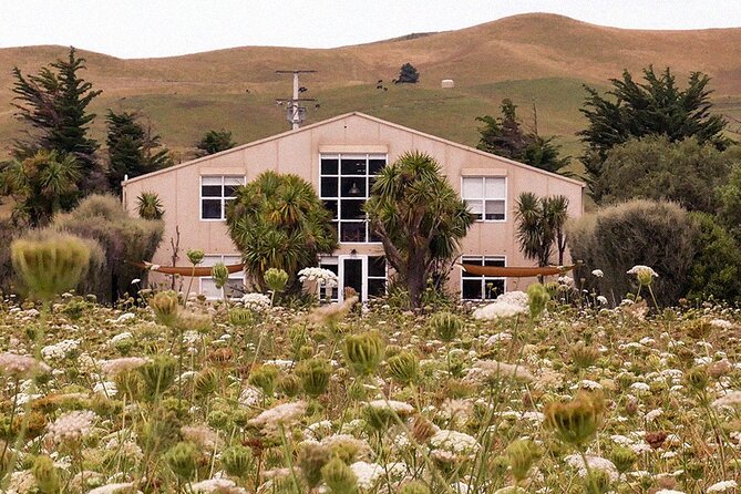 CRUISE SHIP DAY LYTTELTON Hop On Hop Off Wine Tours to Waipara - Waipara wineries: how each stop can fit your taste