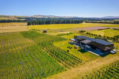 CRUISE SHIP DAY LYTTELTON Hop On Hop Off Wine Tours to Waipara - Old-school shops and café stops that make the wine day feel local