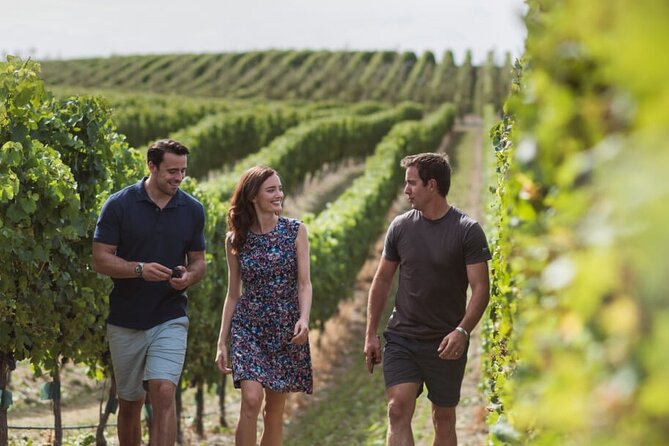 CRUISE SHIP DAY Marlborough Hop On Hop Off Wine Tours - Omaka classic cars and aviation: the best non-wine anchors on the route