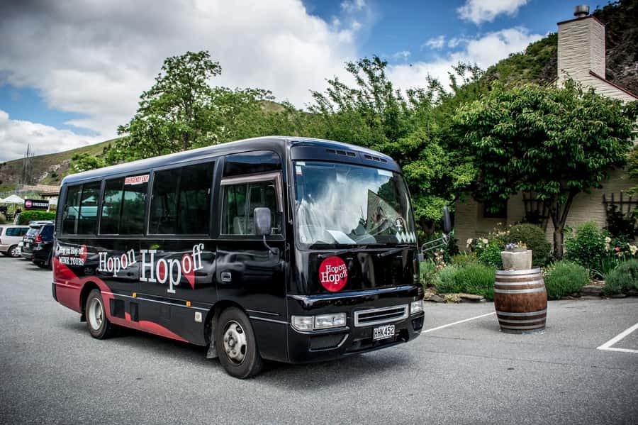 CRUISE SHIP DAYS - HOP ON HOP OFF - Wine, Beer, Food Tour - Key highlights you’ll feel on the day