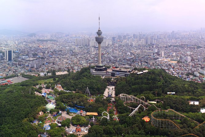 Daegu Hop on Hop off City Tour Bus Discount Ticket (내국인불가) - Why Daegu’s Hop-On Hop-Off Bus Feels Worth It