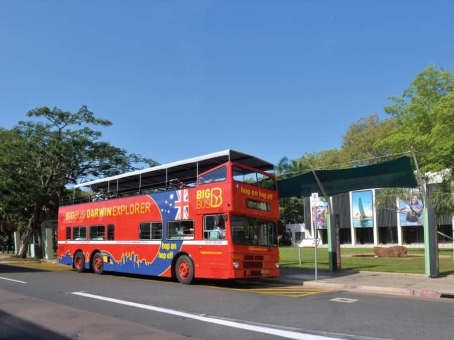 Darwin: Crocosaurus Cove Entry & Hop-on-Hop-Off Bus Tour - The reptile shows: how to plan a smart timing day