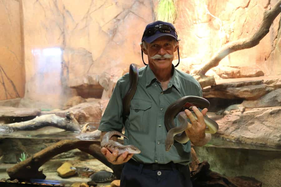 Darwin: Hop-On Hop-Off Bus, Crocosaurus Cove and RFDS Entry - Royal Flying Doctors Service: how the stories connect to everyday life