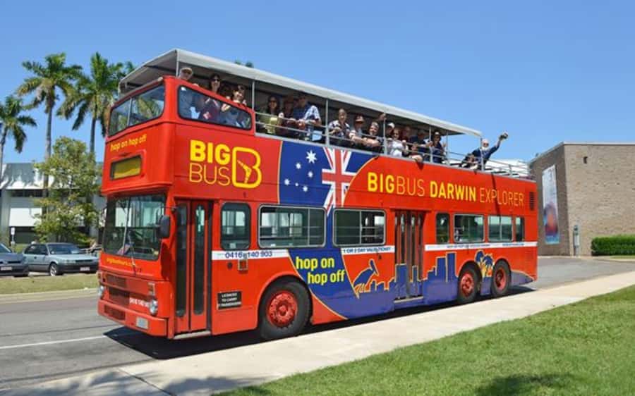 Darwin: Hop-On Hop-Off Bus, Crocosaurus Cove and RFDS Entry - Crocosaurus Cove: full-day reptile shows and timing your day