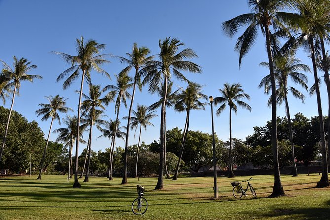 Darwin Shore Excursion: Hop-on Hop-off Bus Tour - Comfort and Weather: What to Expect on a Hot, Humid Route