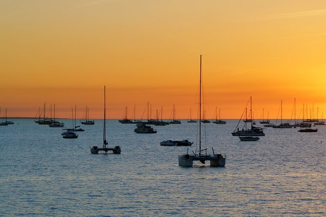 Darwin Shore Excursion: Hop-on Hop-off Bus Tour - Price and Value: Is $35.14 a Good Deal?