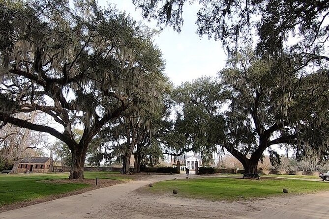 Day Trip to Charleston#5: Bus Tour,Boone Hall, City Market, Lunch - Stop 3: Boone Hall Plantation—house tour limits, slave cabins, and the Gullah story