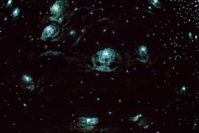 Daytime Scenic Rim Glow Worm Tour + Hop on Hop off Bus - Glow Worm Caves: what makes this cave special (and why it works)
