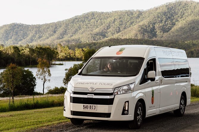 Daytime Scenic Rim Glow Worm Tour + Hop on Hop off Bus - Timing, pace, and group size: why this tour feels manageable