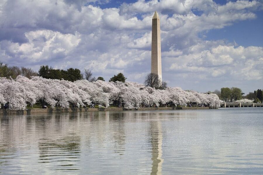 DC Bus Tour with Optional Washington Monument or Air & Space - Key Things You’ll Notice on This Tour