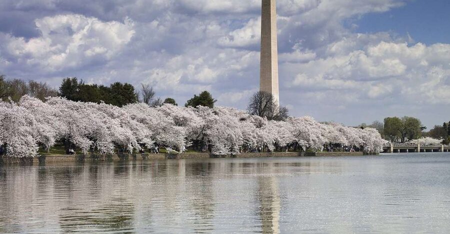 DC Bus Tour with Optional Washington Monument or Air & Space - Vietnam Women’s Memorial: A Critical Stop You Might Not Plan Alone