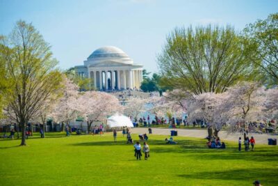 DC: Hop-On Hop-Off with 17 Stops plus Arlington Walking Tour - Open-top bus time is photo time (if you pick your spot right)