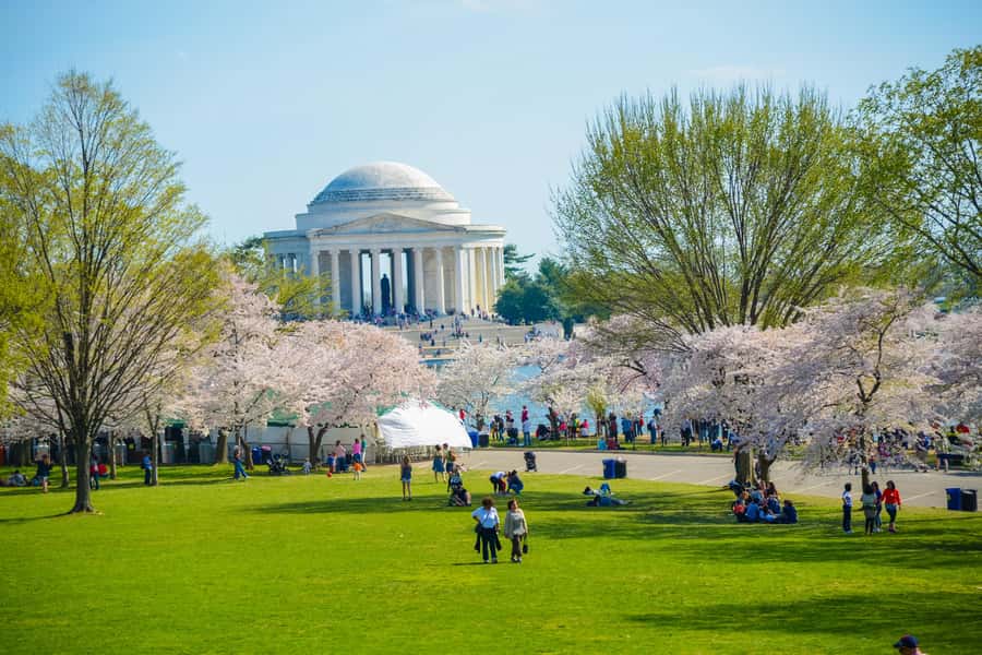 DC: Hop-On Hop-Off with 17 Stops plus Arlington Walking Tour - Open-top bus time is photo time (if you pick your spot right)